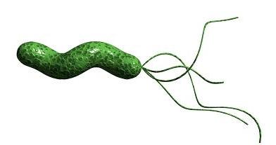 Heliobacter Pylori